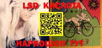 стафф Гатчина