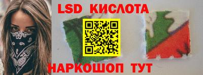 стафф Гатчина