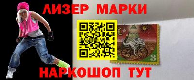 стафф Гатчина
