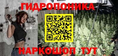 стафф Гатчина