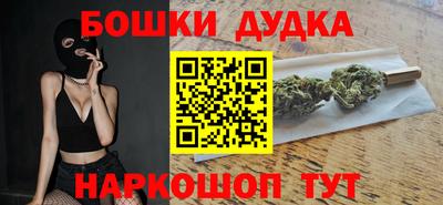 стафф Гатчина